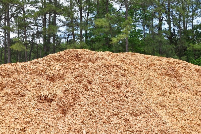 Cypress Chips (Bulk per cu. yd)