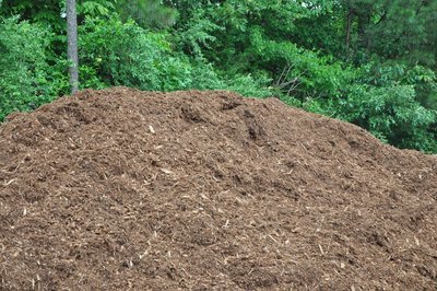 Triple Shred PINE BARK Mulch (Bulk cu. yd) Triple Shred PINE BARK Mulch (Bulk cu. yd)