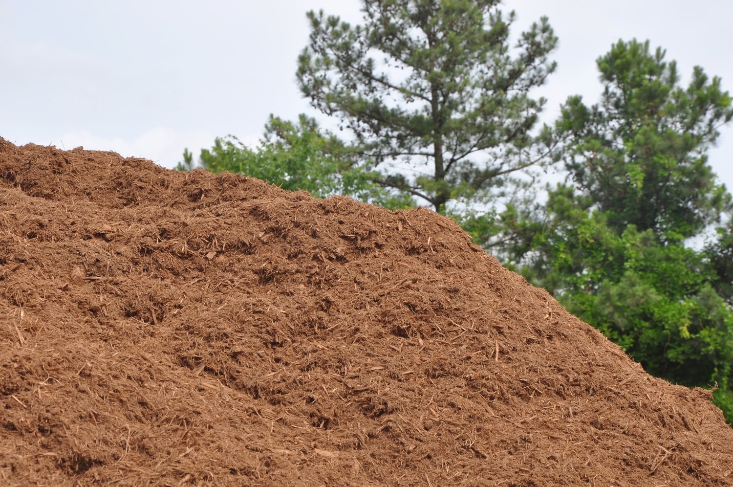 Triple Shred HARDWOOD BARK Mulch (Bulk per cu. yd)