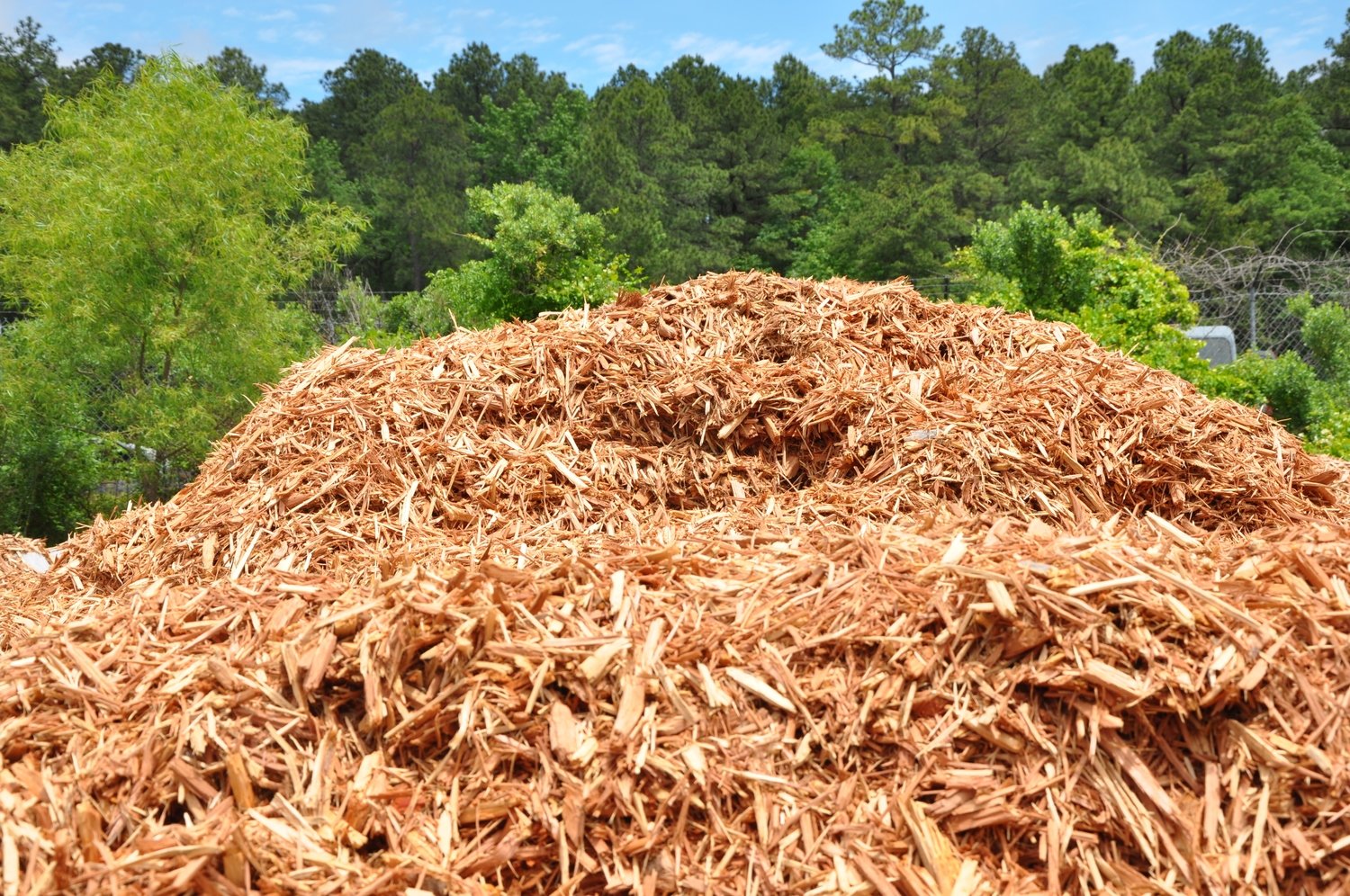 Cedar Mulch (Bulk per cu. yd)