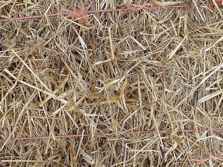 Wheat Straw BALE