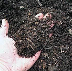 Flower Bed Mix #1 (Bulk per cu. yd)