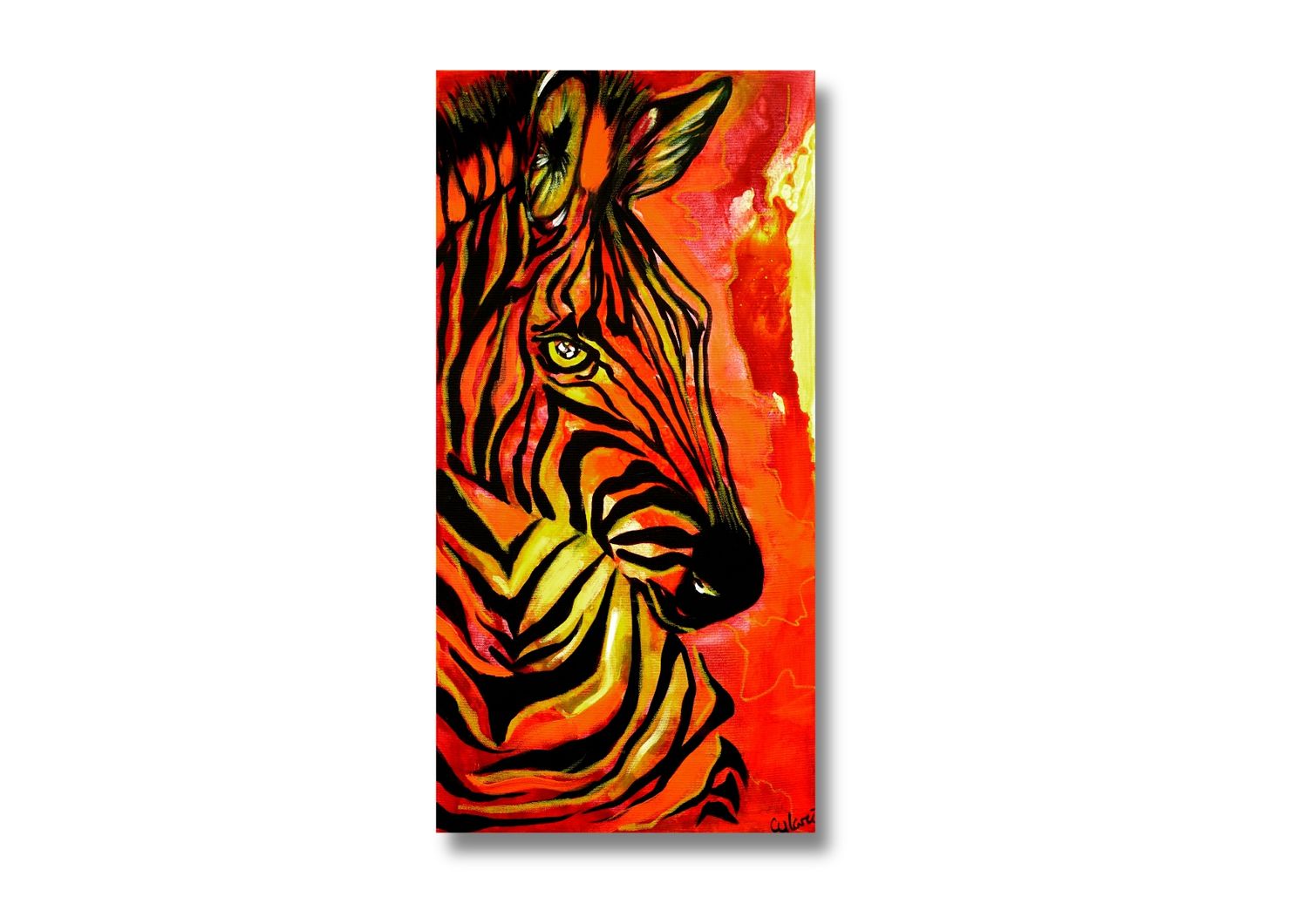 Zebra-Porträt