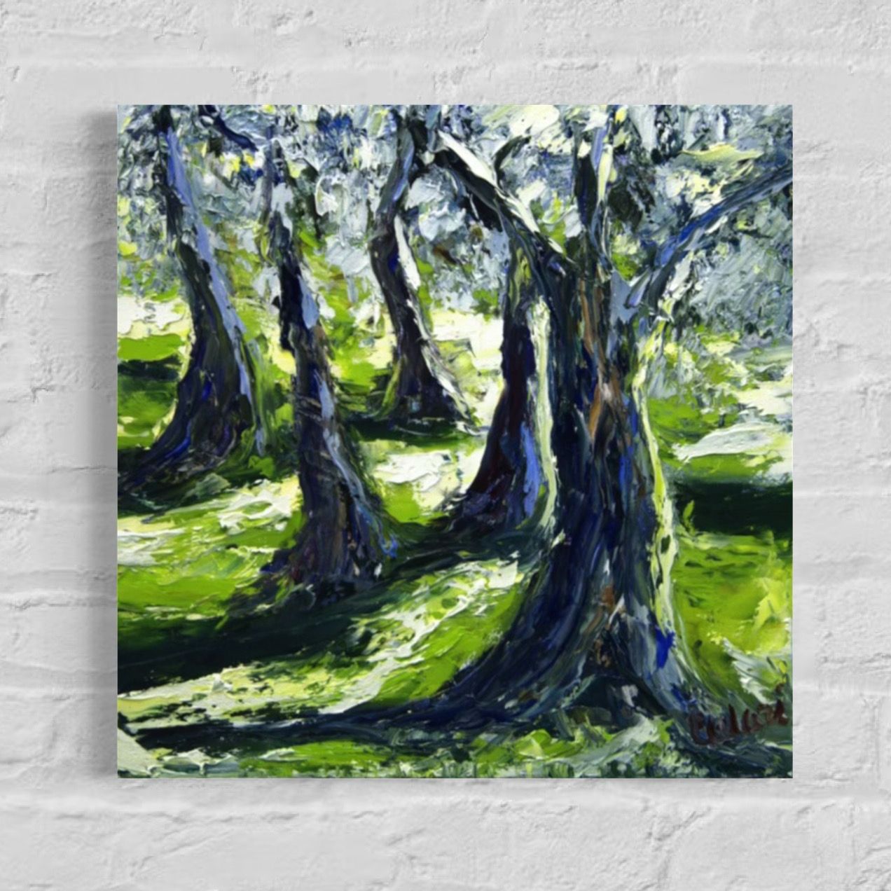 In the Black Forest – The Magical Silence of Nature In the Black Forest – The Magical Silence of Nature