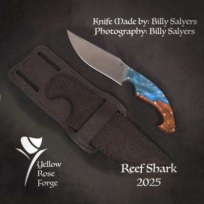 Reef shark
