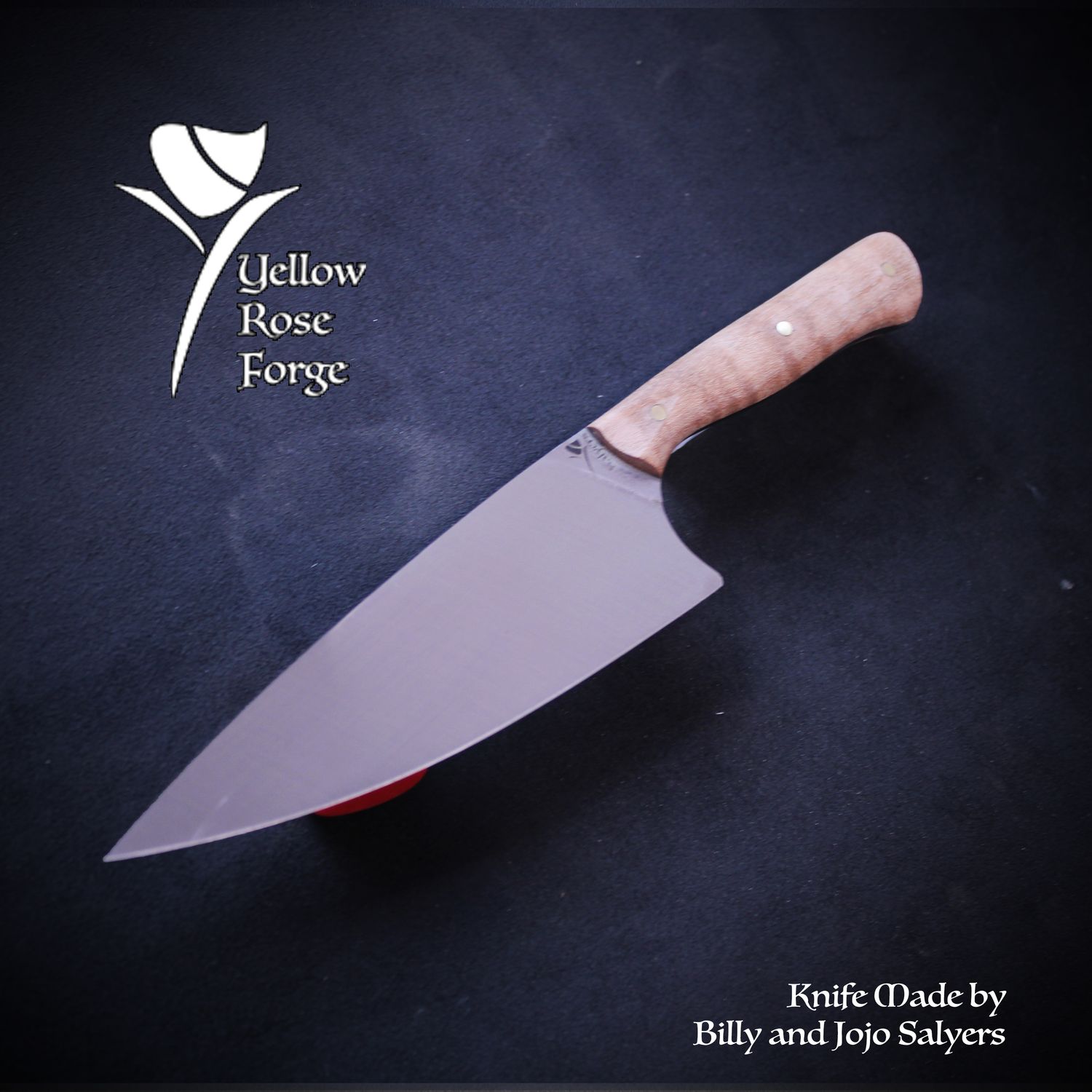 Signature Chef Petite