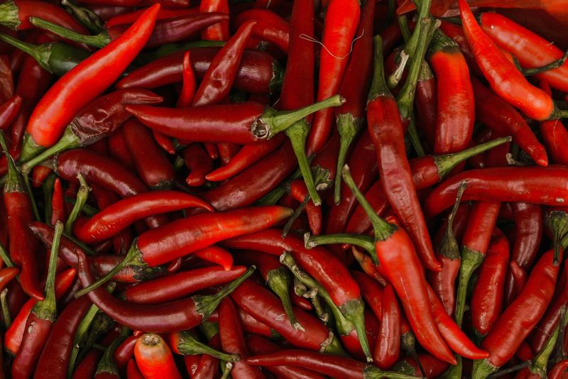 Cayenne