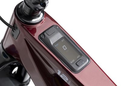 E-MTB CRUSSIS/AVINOX
