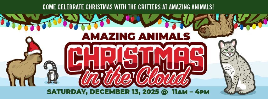 CHRISTMAS IN THE CLOUD - DEC 13