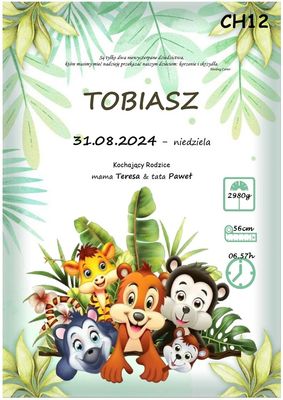 Spersonalizowany plakat z okazji narodzin - model przyjaciele lasu