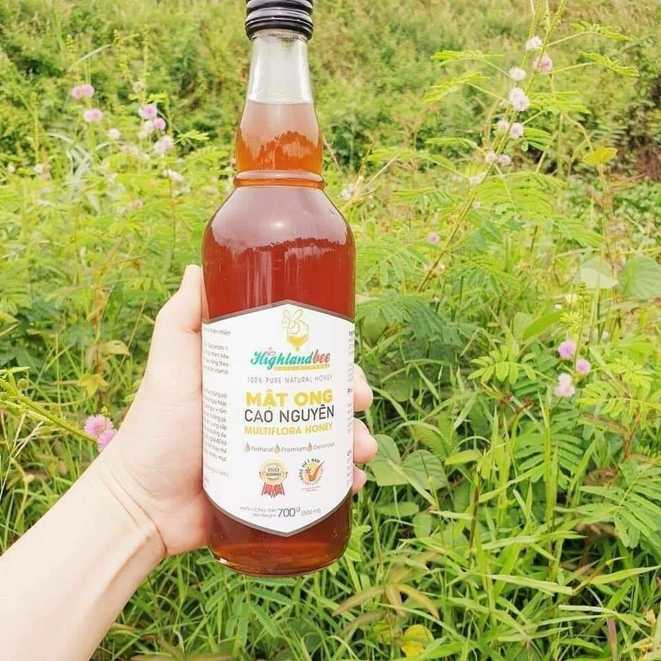 Mật ong nguyên chất Cao Nguyên Highlandbee hộp giấy đôi quai xách 02 chai 500ml
