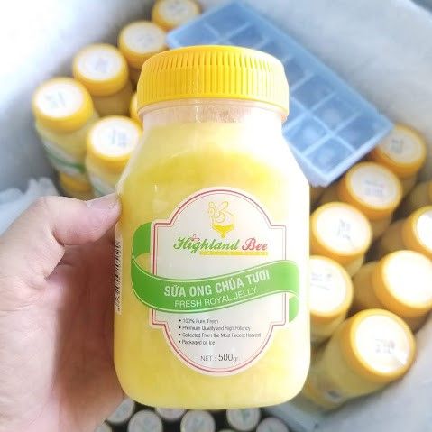 Sữa ong chúa hũ tươi Highlandbee 500g