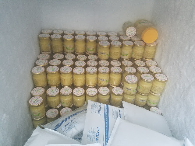 Sữa ong chúa tươi hũ 100g