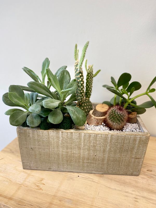 Desert Road Planter