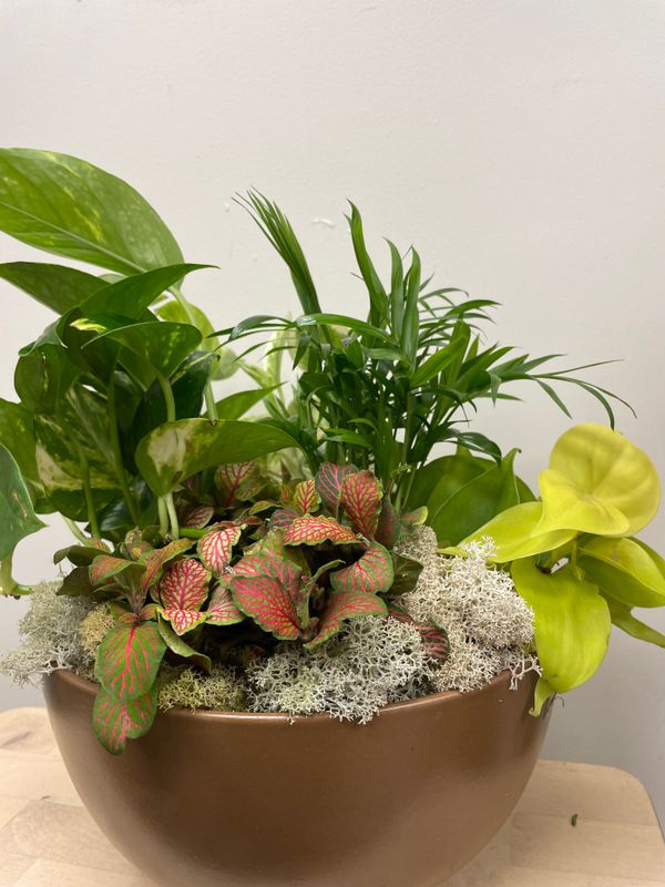 Classic Tropical Planter