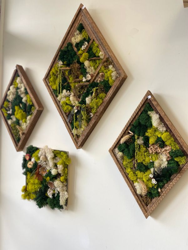 Touch of Nature Moss Frame