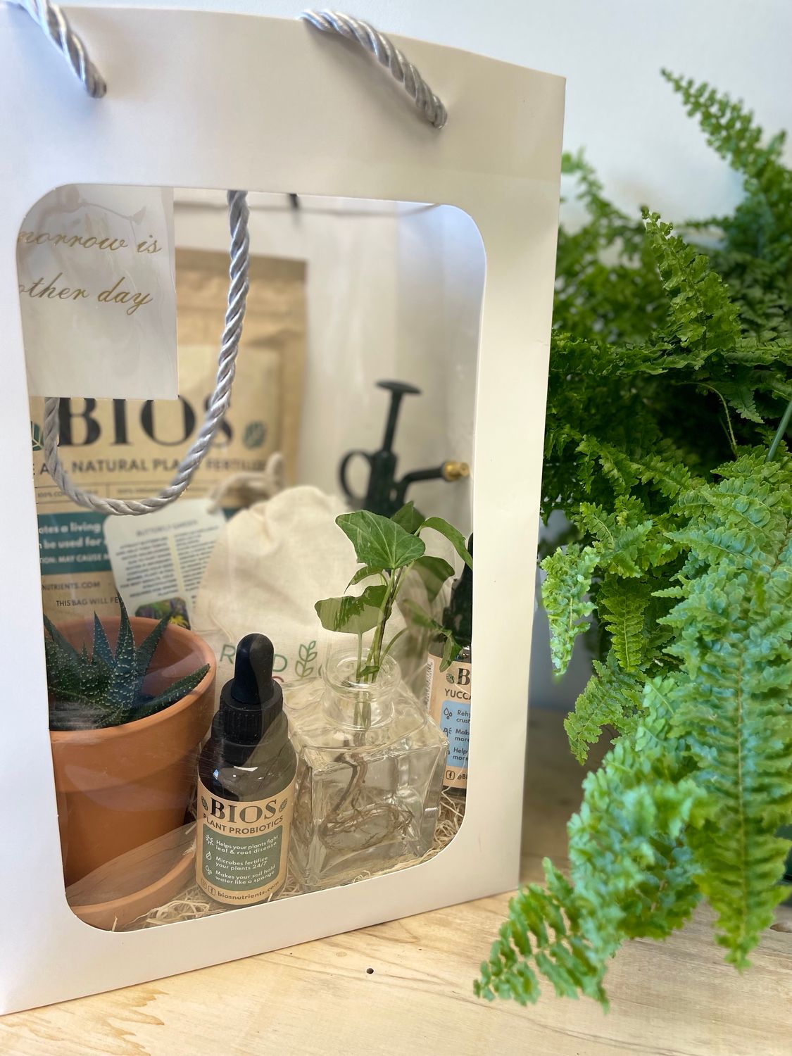 Plant Pro Gift Bag