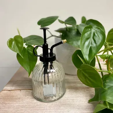 Plant Mister