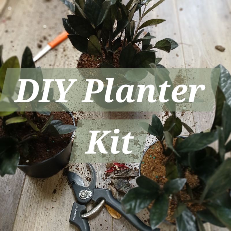 DIY Kits