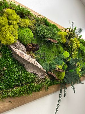 Moss Frames &amp; DIY Kits