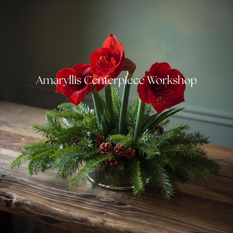 Amaryllis Centerpiece Workshop