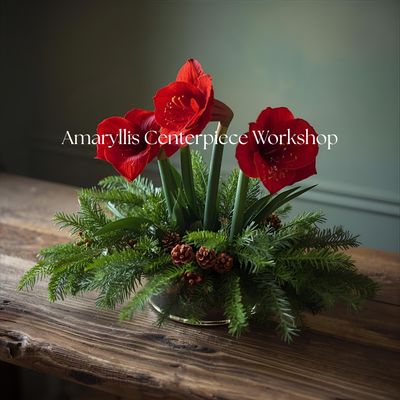 Amaryllis Centerpiece Workshop