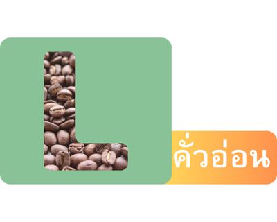 Light Roast