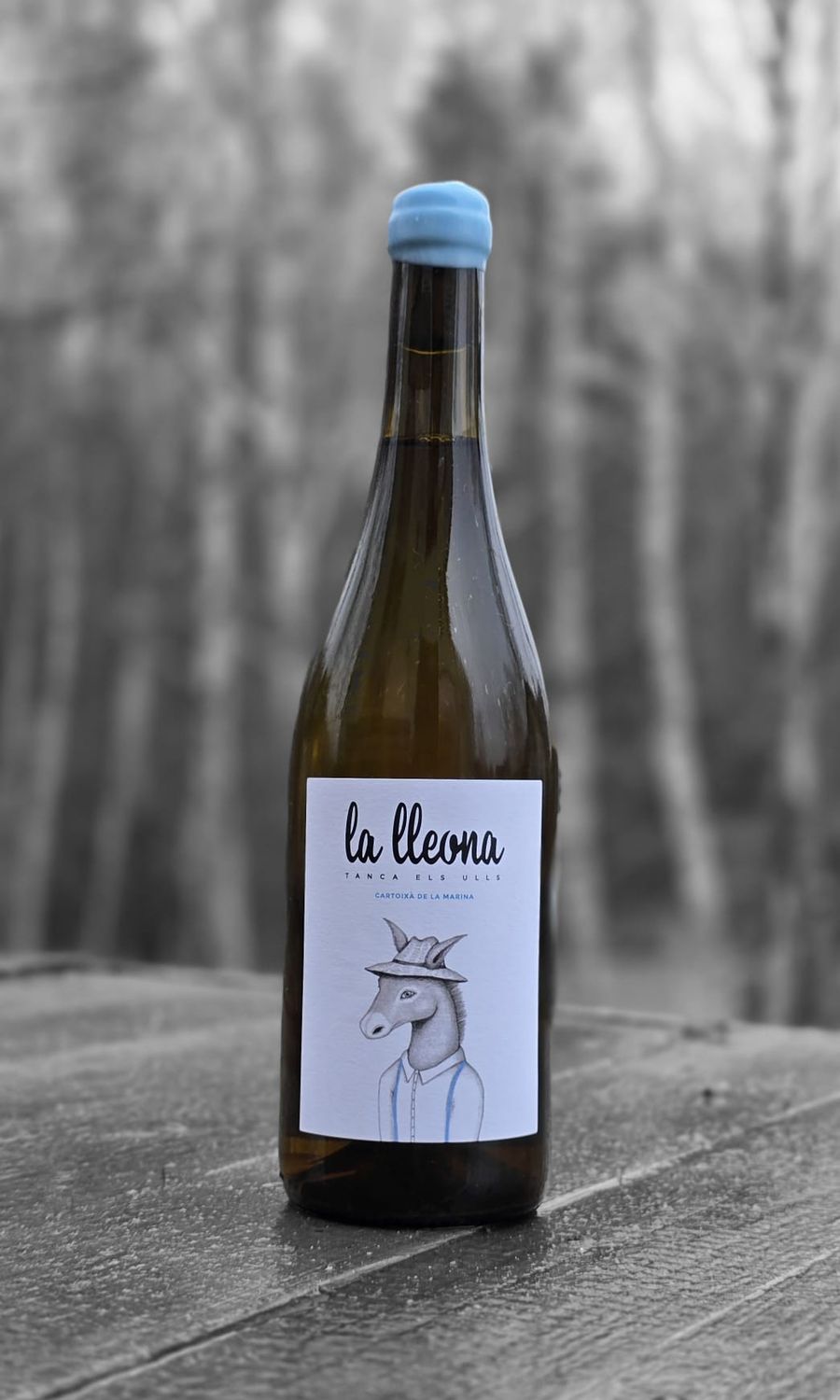 La Lleona - Tanca els ulls