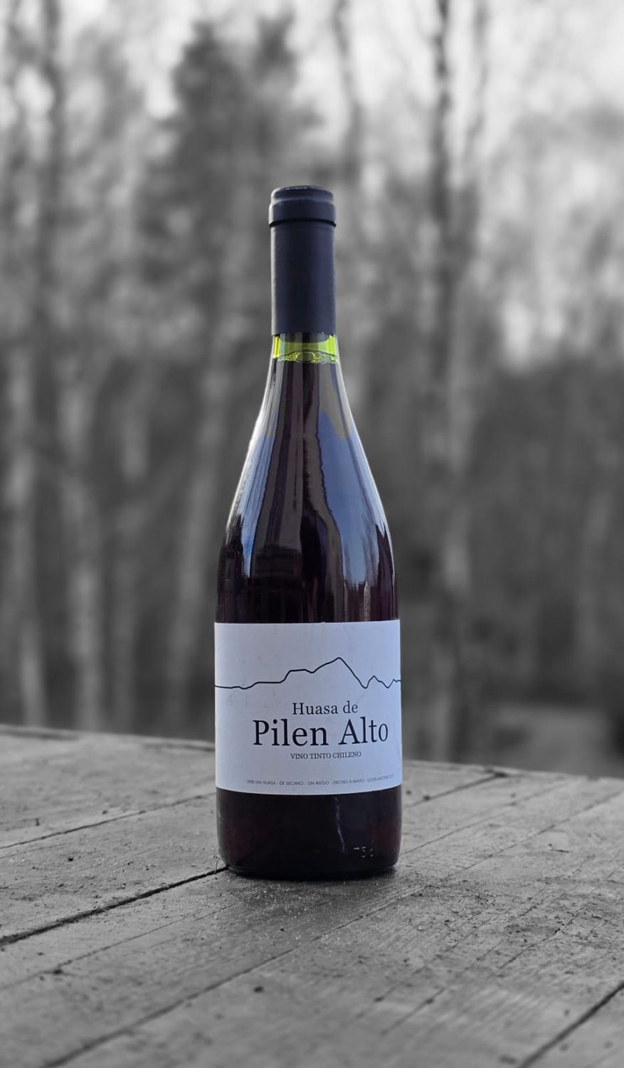 Pilen Alto Huasa de