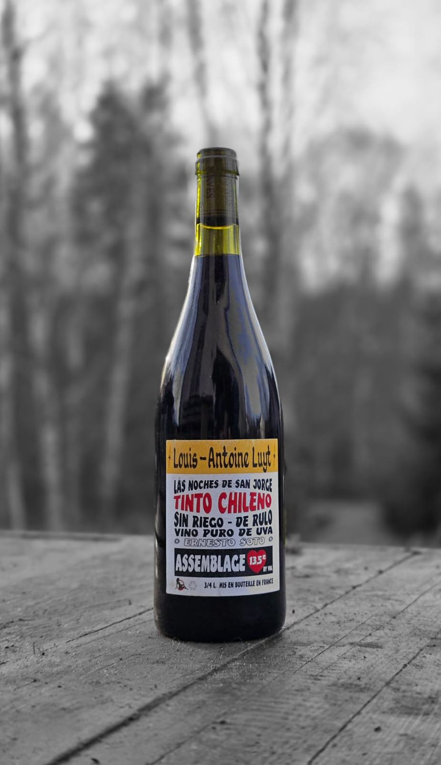 Tinto Chileno - 2022 - Louis Antoine Luyt