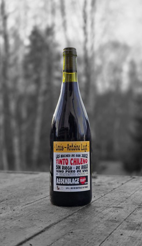 Tinto Chileno - 2022 - Louis Antoine Luyt