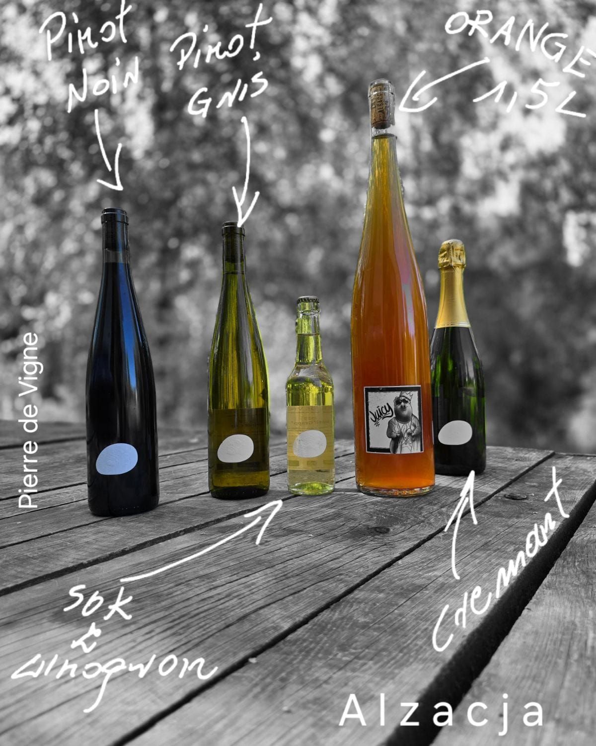 Pinot Gris Pierre de Vigne