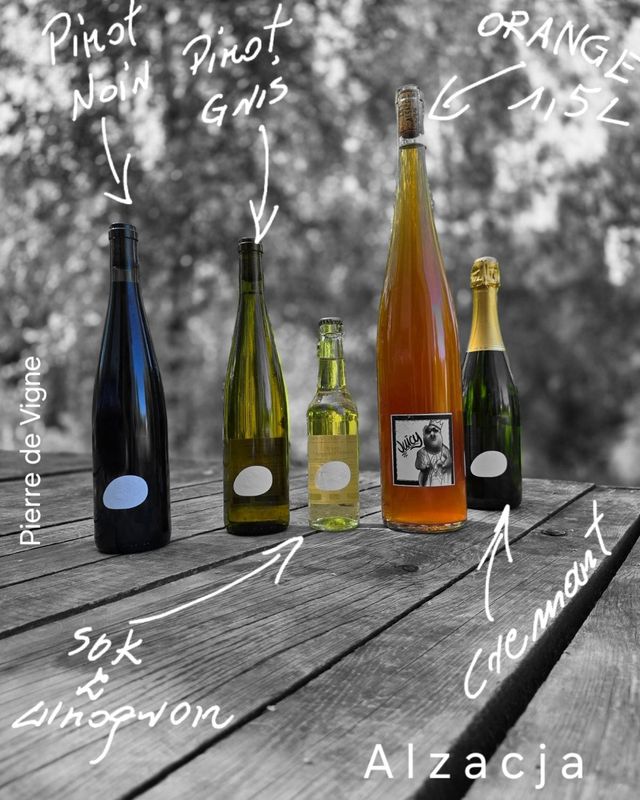 Pinot Gris Pierre de Vigne