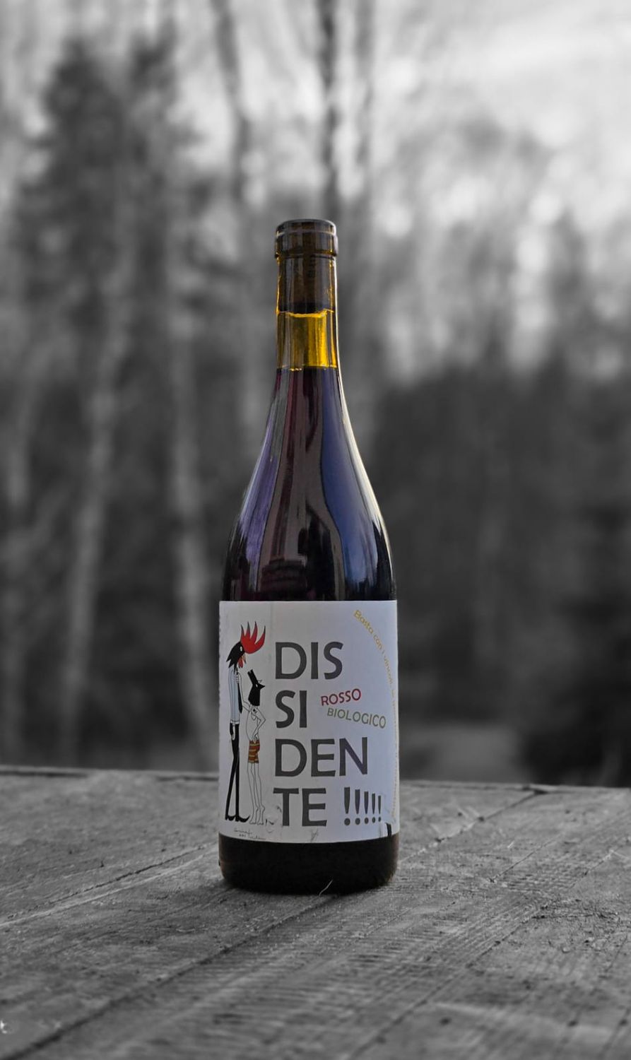 DISSIDENTE IGT San Donatino