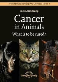 Cancer in animals. What is to be treated? Cancer in animals. What is to be treated?