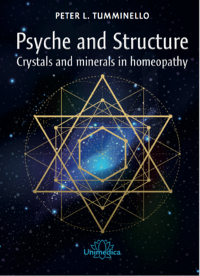 Psyche and Structure (new) (Tumminello)