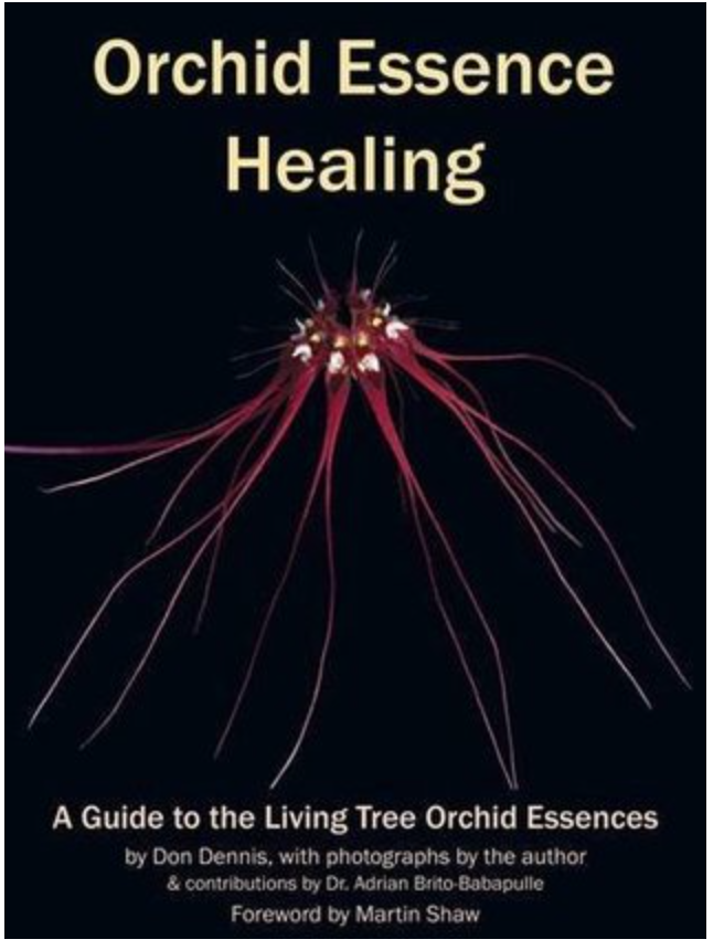 Orchid essence healing* (Dennis)