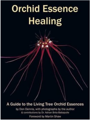 Orchid essence healing* (Dennis)