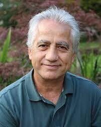 Some essays on homoeopathy (Dimitriadis)