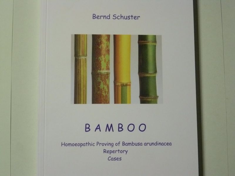 Bamboo Homeopathic Proving of Bambusa Arundinacea Repertory Cases* (Schuster)