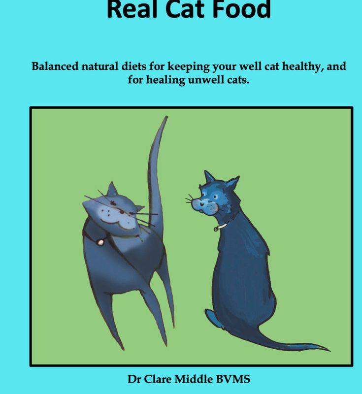 Real Cat Food (Middle)