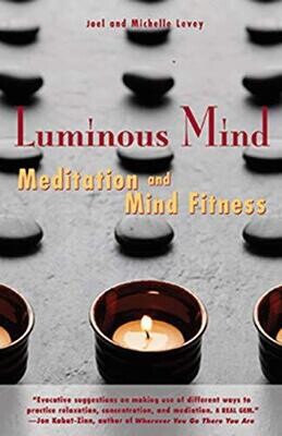 Luminous Mind: Meditation and Mind Fitness* (Levey)
