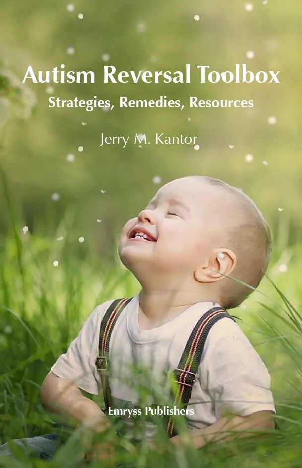 Autism Reversal Toolbox: Strategies, Remedies, second hand (Kantor)