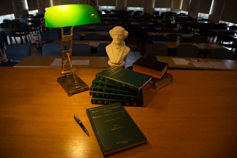Materia Medica Viva Vol. 1-13 (Vithoulkas)