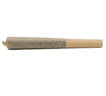 Lemon Bomb .5g Preroll