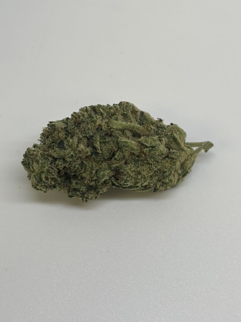 Gorilla Glue (GG4)