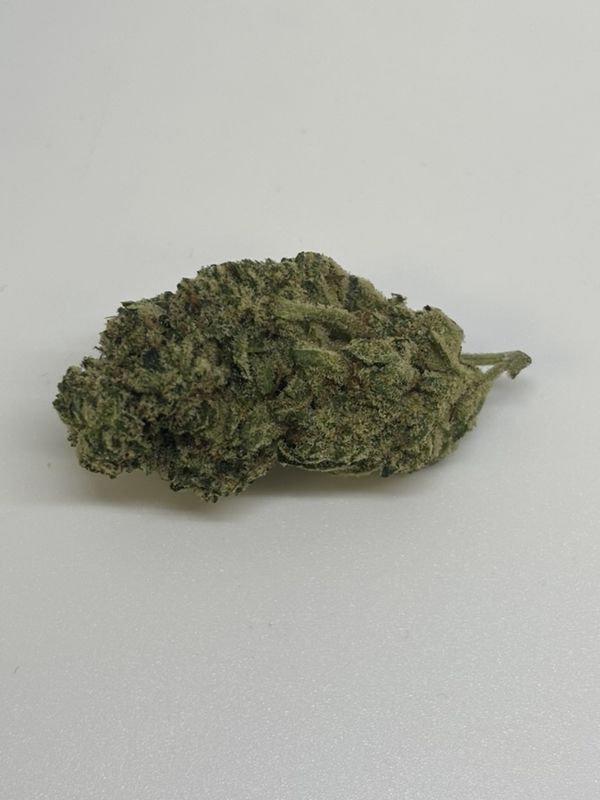 Gorilla Glue (GG4)