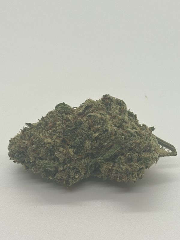 Lilac Diesel