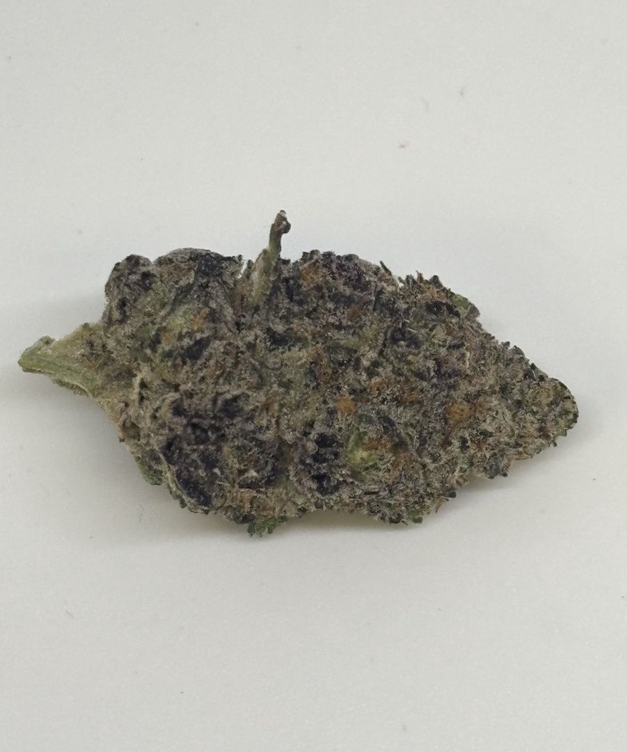 Modi (Modified) Grape
