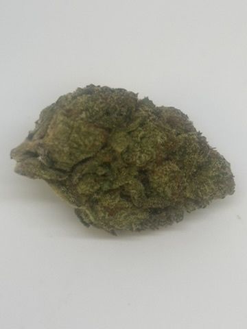 Gelato 41
